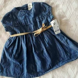 New Carter's 6 month Demin Dress & bloomer